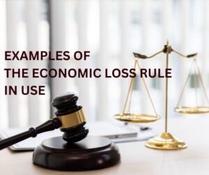 EXAMPLES OF THE ECONOMIC LOSS RULE IN USE