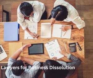 lawyers for business dissolution